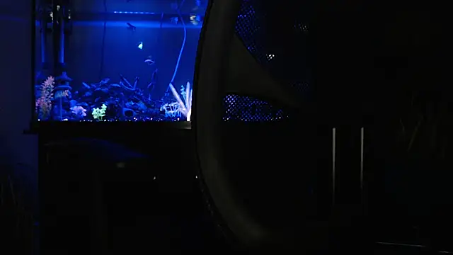 EspanolVato online show from April 18, 9:24 am