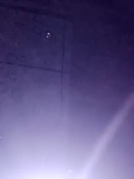 Sana-vn online show from March 14, 2:44 pm