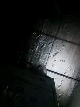 Sana-vn online show from March 24, 11:43 pm