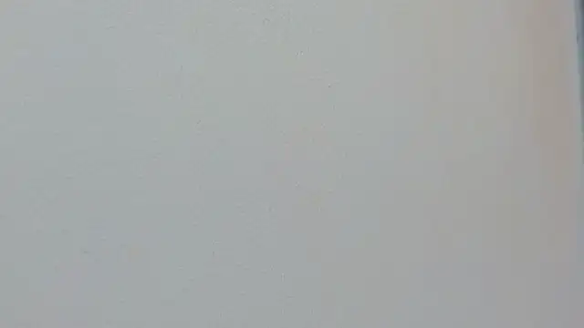 Missy 22  online show from April 15, 1:40 pm