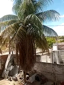 Snapshot of ____gozada---- chatting on January 9, 3:59 pm gozada---- online show from January 9, 3:59 pm