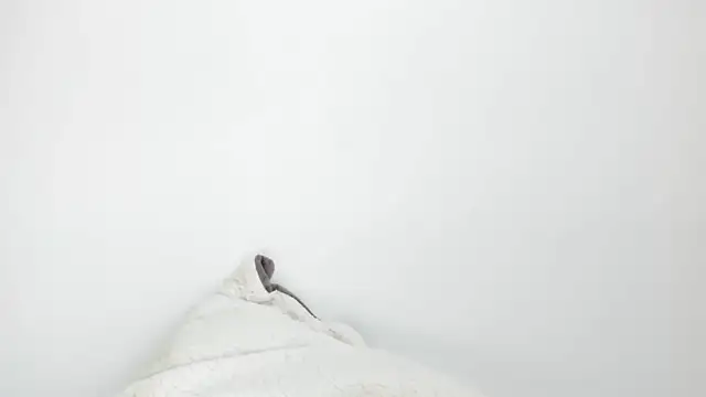 Sarah sumemers online show from March 4, 8:15 pm