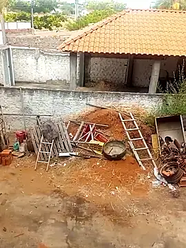 -----xerecard---- online show from January 9, 11:13 am