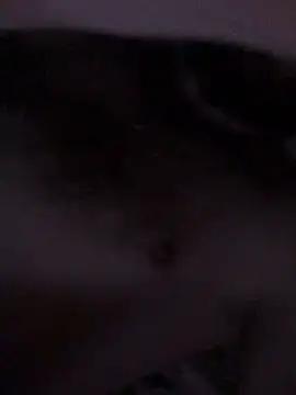 Di717 online show from March 23, 9:30 pm