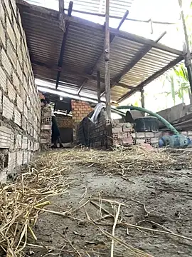 Ginny 2x online show from February 20, 3:36 am