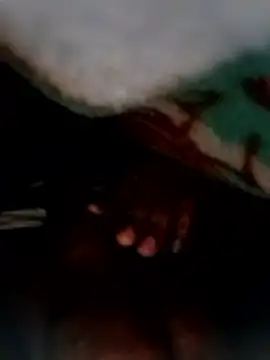 entrainer99 online show from January 9, 7:37 pm