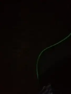 leox98xx online show from January 10, 9:33 am