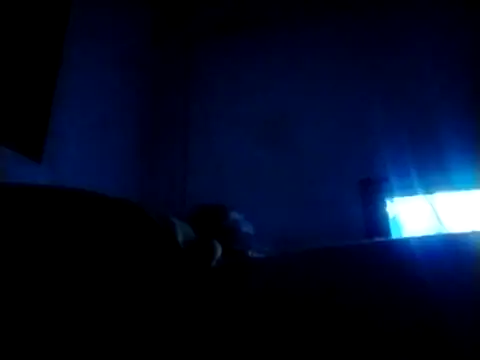 Snapshot of FairedVein chatting on March 14, 3:23 am FairedVein online show from March 14, 3:23 am