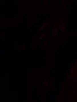 tropicalpied online show from January 16, 4:38 am