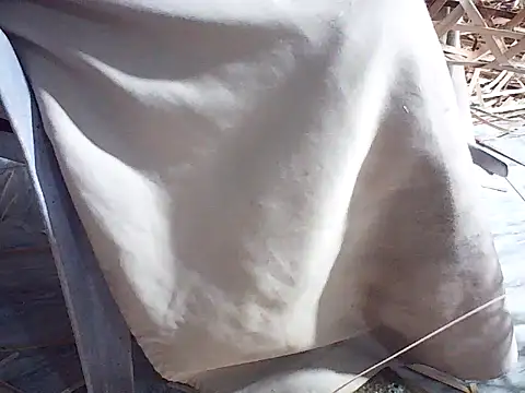 Futar8388 online show from January 13, 12:21 pm