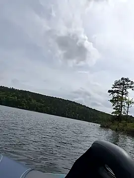 tastemecaroline online show from April 15, 8:20 pm