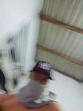 novinho br29 online show from February 17, 8:04 pm