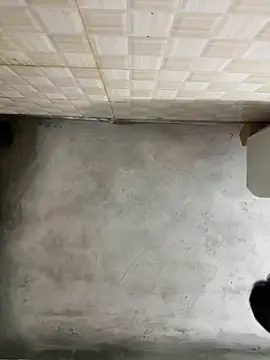 nmducnb online show from April 19, 8:13 am