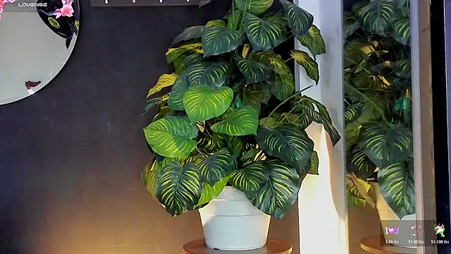 Noaah25  online show from March 20, 3:22 am