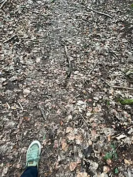 tony3729 online show from February 28, 11:22 am