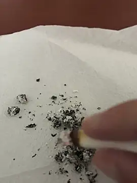 Snapshot of dickdondra chatting on February 2, 11:42 am dickdondra online show from February 2, 11:42 am