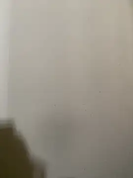 Snapshot of exoticshruti chatting on February 2, 7:29 am exoticshruti online show from February 2, 7:29 am