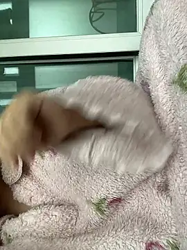 Snapshot of wjddjwjd chatting on February 6, 11:52 pm wjddjwjd online show from February 6, 11:52 pm