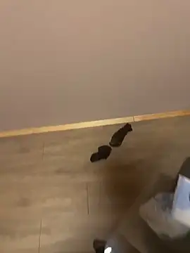 Snapshot of kin-y7 chatting on February 7, 3:43 am kin-y7 online show from February 7, 3:43 am