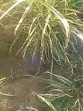 Snapshot of Cute_Boy_4 chatting on February 27, 2:44 am Cute Boy 4 online show from February 27, 2:44 am