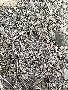 Cute Boy 4 online show from March 18, 7:00 am