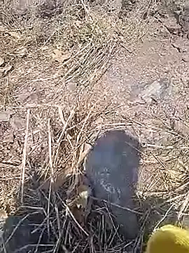 Cute Boy 4 online show from March 20, 10:09 am