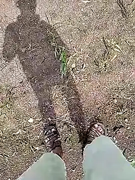 Cute Boy 4 online show from June 5, 4:41 am