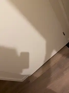 Snapshot of hottogetherNL chatting on February 12, 5:46 am hottogetherNL online show from February 12, 5:46 am