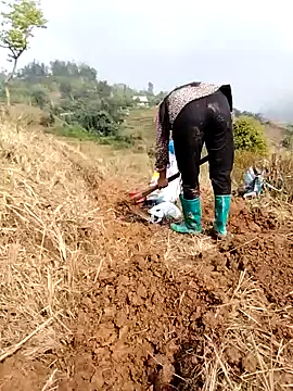 Tina-beo online show from March 24, 1:43 am