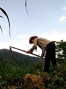 Tina-beo online show from April 10, 8:19 am