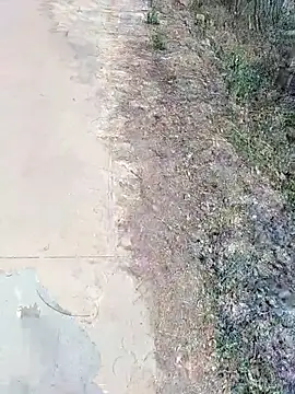 janu 9900 online show from February 18, 6:09 am