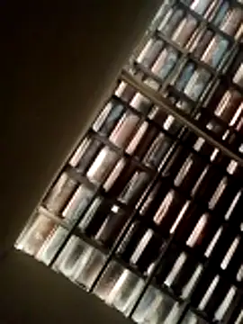 Snapshot of lorraine2036 chatting on February 22, 9:52 am lorraine2036 online show from February 22, 9:52 am