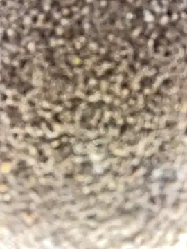 Namipeitudinha online show from February 16, 4:58 pm