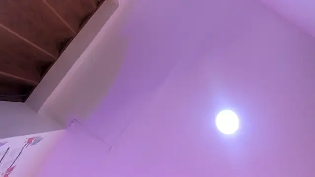 Paris Velvet online show from April 8, 10:32 pm