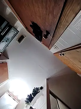 chad23162 online show from February 13, 4:58 pm