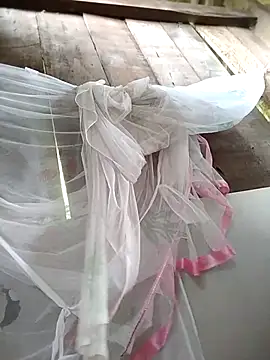 Domita cool online show from April 16, 6:47 am