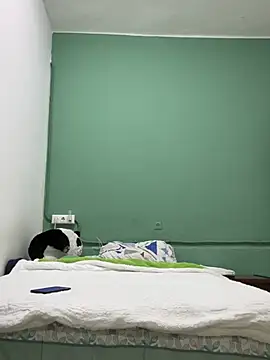 Snapshot of DavShi chatting on February 25, 10:30 pm DavShi online show from February 25, 10:30 pm