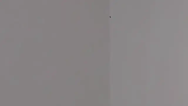 Snapshot of Lilith_pink29 chatting on February 3, 3:37 am Lilith pink29 online show from February 3, 3:37 am