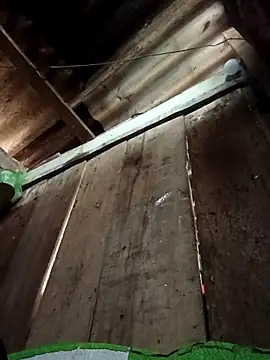 Small flower1 online show from February 10, 2:04 am