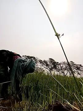 Royal hotti0011 online show from March 17, 3:55 am