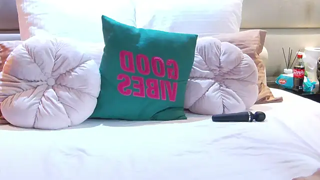 Snapshot of BlissArtX chatting on February 4, 8:58 pm BlissArtX online show from February 4, 8:58 pm