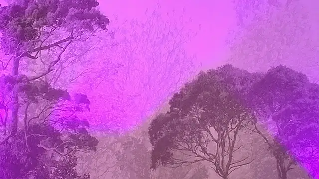 Elizabeth Ferrer online show from March 16, 12:09 pm