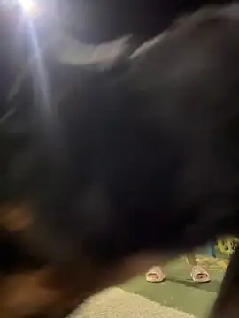 Snapshot of Arya___ chatting on February 19, 5:47 am Arya online show from February 19, 5:47 am