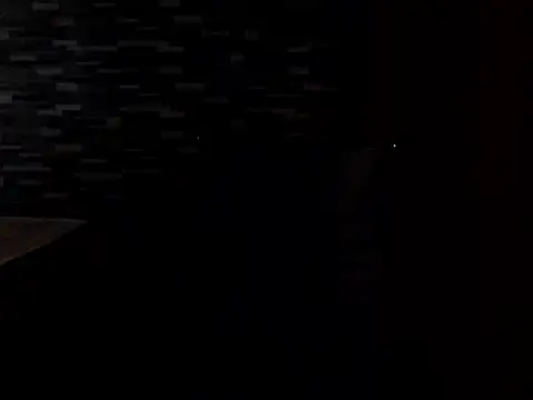 PennyUni online show from February 13, 1:23 am