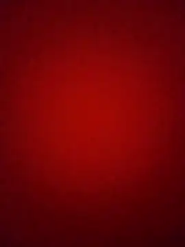 Pelloz online show from February 4, 9:37 am