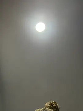 Snapshot of Angelicalove07 chatting on March 1, 4:03 am Angelicalove07 online show from March 1, 4:03 am