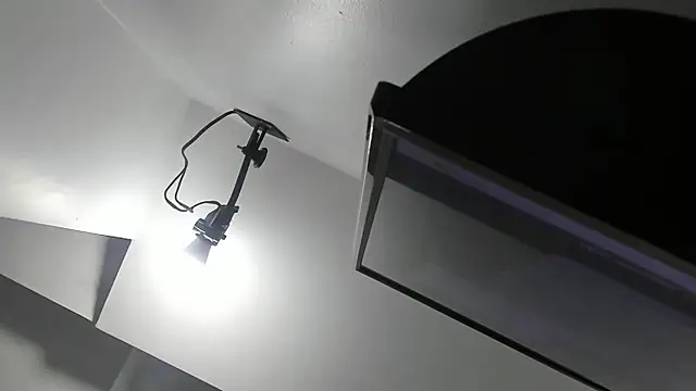 kate morgann online show from April 1, 8:17 pm