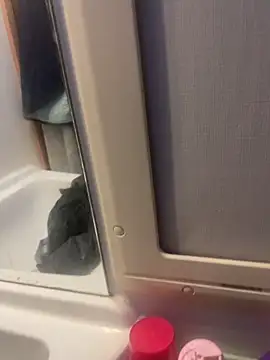 stallone italiano 62 online show from February 26, 6:56 am