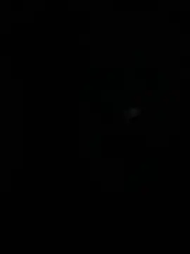 stallone italiano 62 online show from April 10, 4:39 am