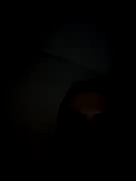 PelifiFilipee online show from February 12, 7:25 am